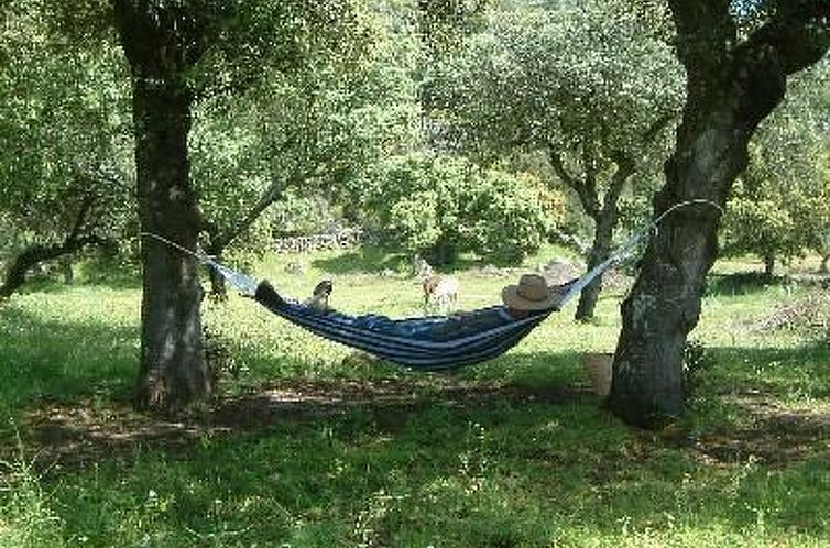 Vakantiehuis Das Cortijo auf der Finca al-manzil