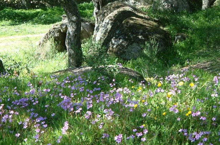 Vakantiehuis Das Cortijo auf der Finca al-manzil
