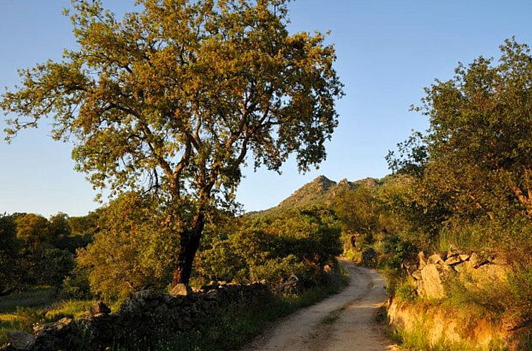 Vakantiehuis Das Cortijo auf der Finca al-manzil