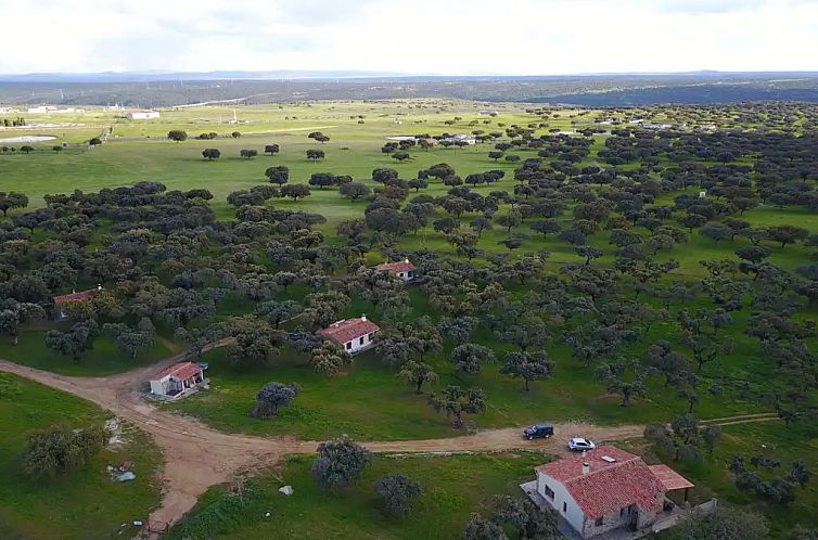Finca Las Abubillas 1