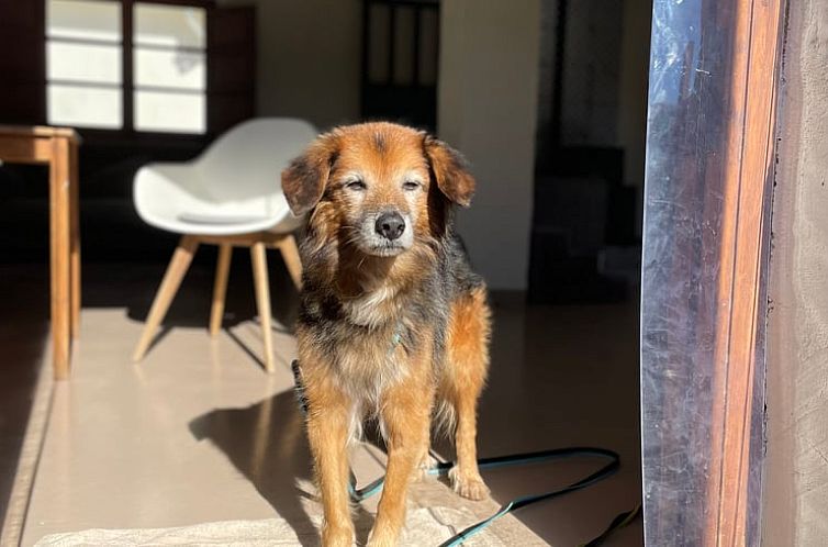 Huisje in Navalafuente