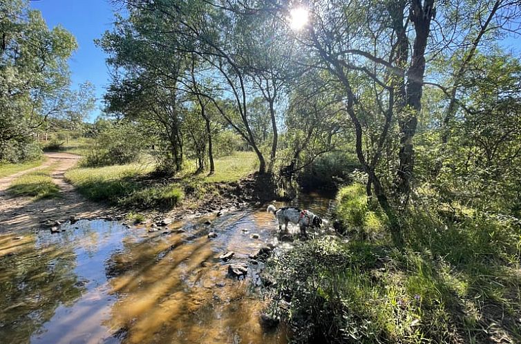 Huisje in Navalafuente