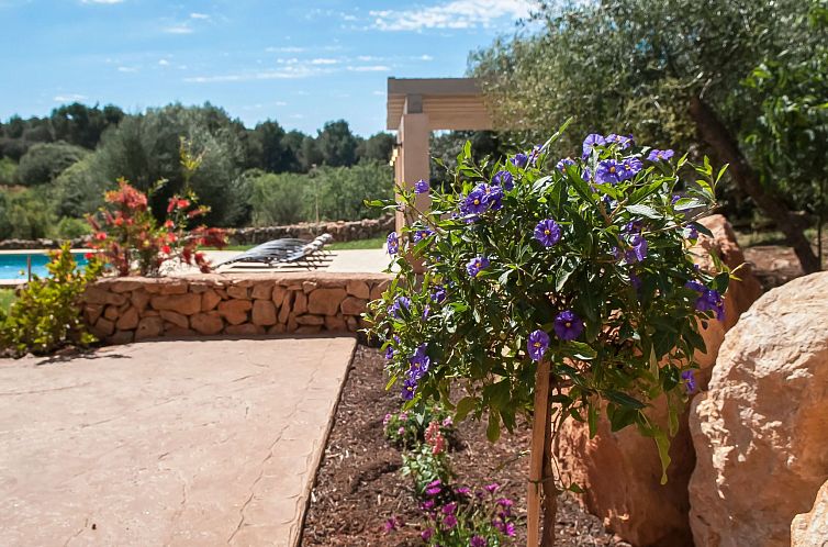 Vakantiehuis Salas Nou