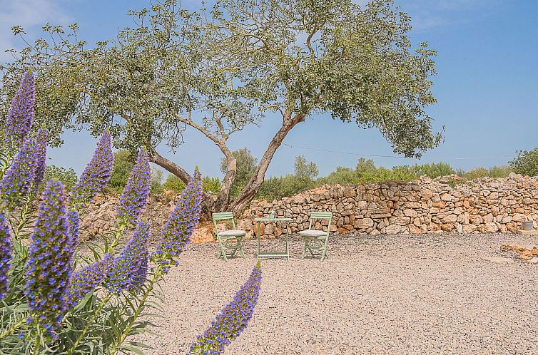 Vakantiehuis Tanca Gran