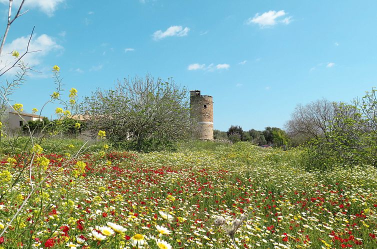 Vakantiehuis Moli den Cavea