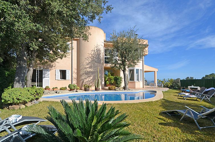 Guest house 1600424 - Holiday property Mallorca - Vakantiehuis Cactus