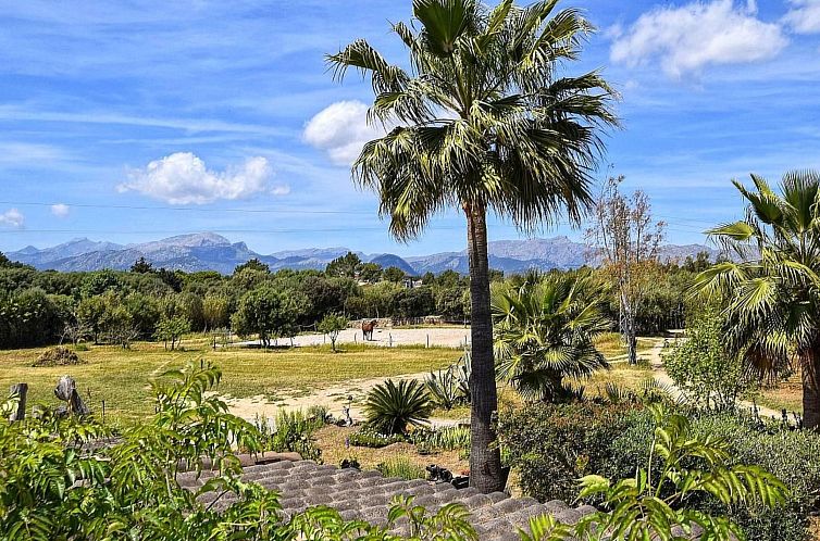 Vakantiehuis Ländliche Finca "Sa Torre" mit Jacuzzi