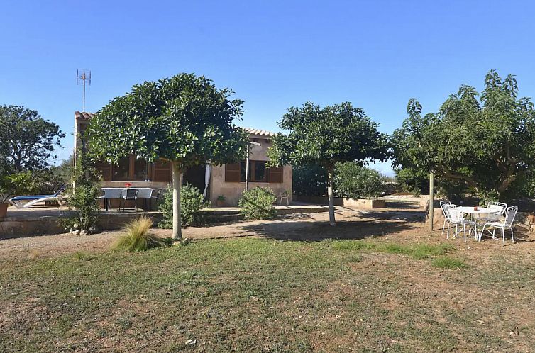 Guest house 1600812 - Apartment Mallorca - Appartement Finca Can Patito