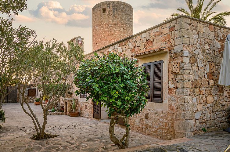 Vakantiehuis Villa Moli de Ca n'Orell