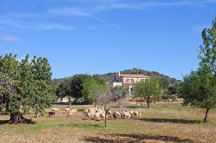 Vakantiehuis Finca Can Marines