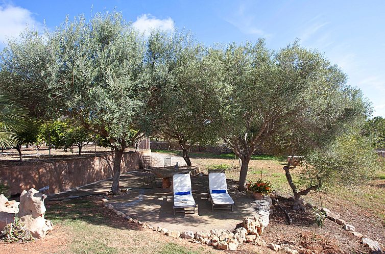 Vakantiehuis Finca Can Marines