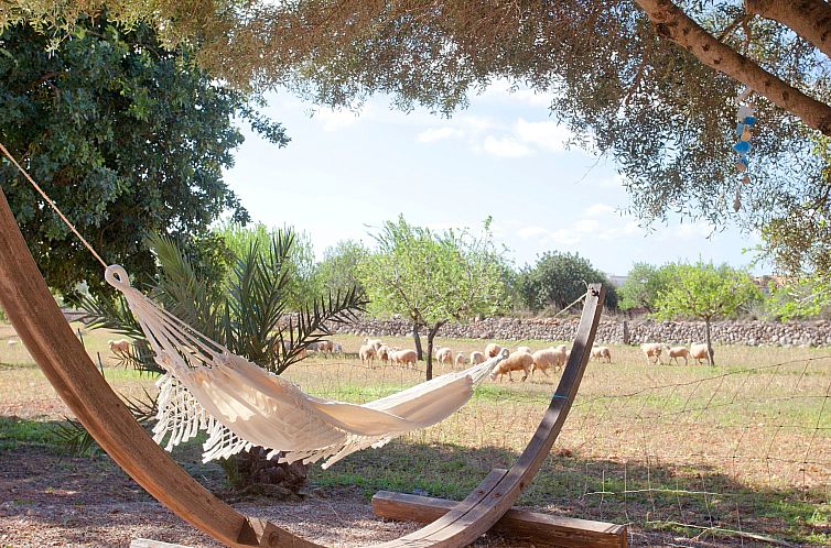 Vakantiehuis Finca Can Marines