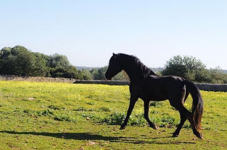 Vakantiehuis Salom Verd