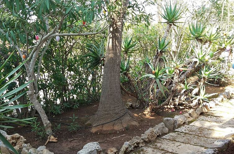 Vakantiehuis in Porto Cristo Novo mit Garten