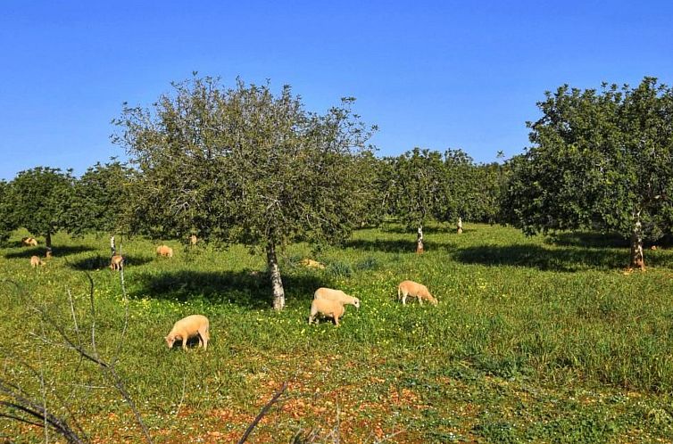 Vakantiehuis Bonita casa cerca del mar