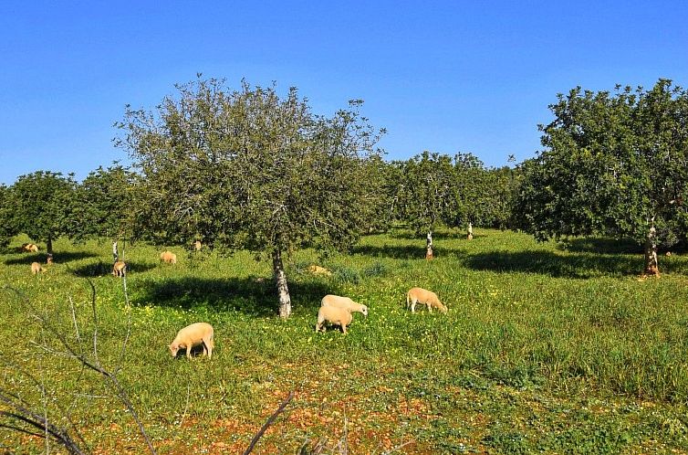 Vakantiehuis Bonita casa cerca del mar