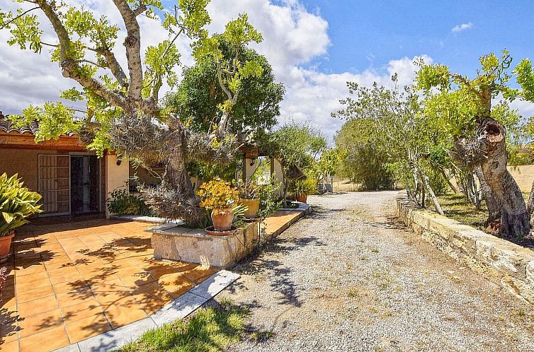 Vakantiehuis Finca Son Macia ruhige Lage Schwimmbad und Klim