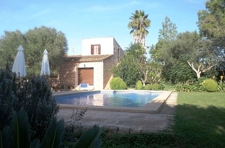 Vakantiehuis Finca Casa Alba - großer Außenbereich für Ki