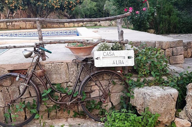 Vakantiehuis Finca Casa Alba - großer Außenbereich für Ki