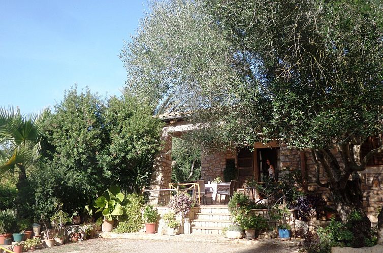 Vakantiehuis Finca Casa Alba - großer Außenbereich für Ki