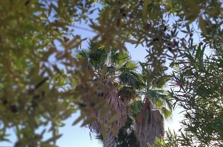 Vakantiehuis in Manacor mit Privatem Pool