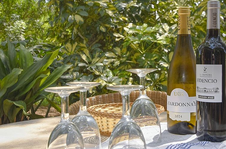 Vakantiehuis Finca mit Ruhe und Infinity-Pool