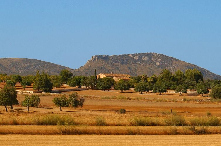 Vakantiehuis Finca "Son Pereto" mit privatem Pool