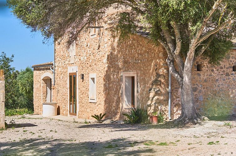 Vakantiehuis Galeri