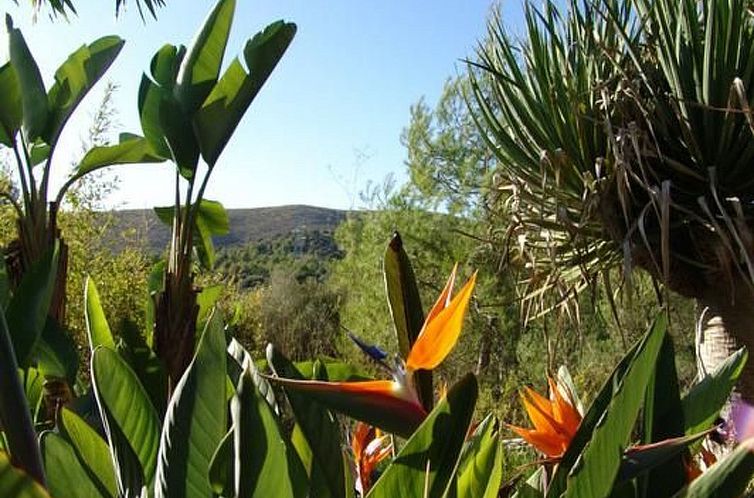 Appartement Almendra