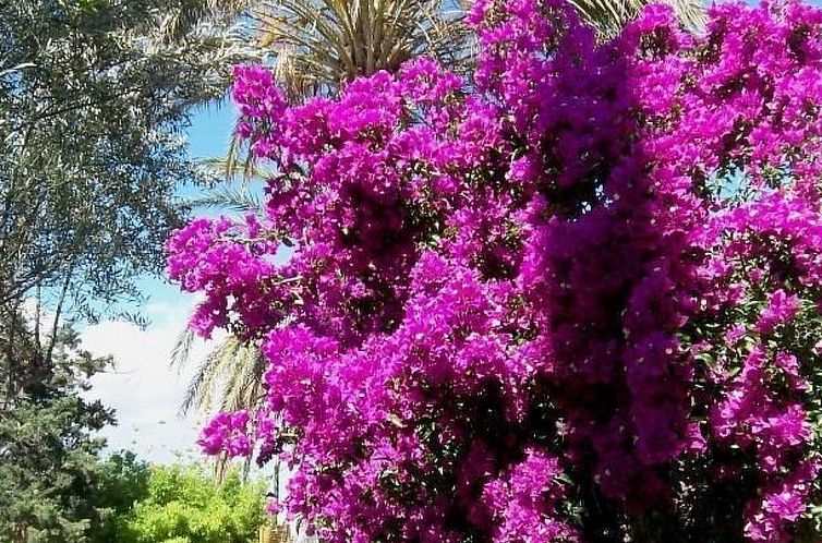 Appartement Ferien im Herrenhaus