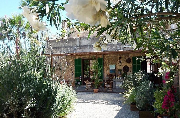 Appartement Studio Apartment