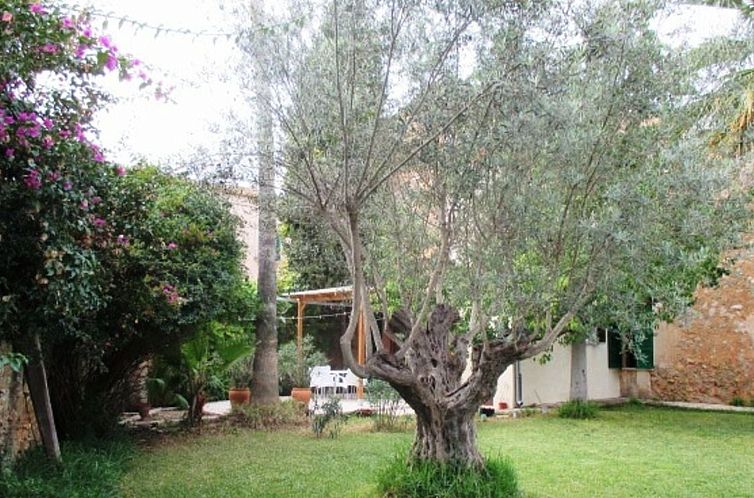 Appartement Garten Appartment