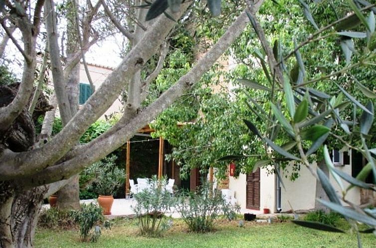 Appartement Garten Appartment