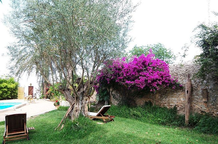 Appartement Garten Appartment