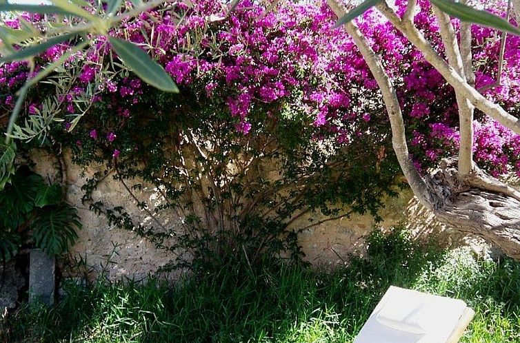 Appartement Garten Appartment