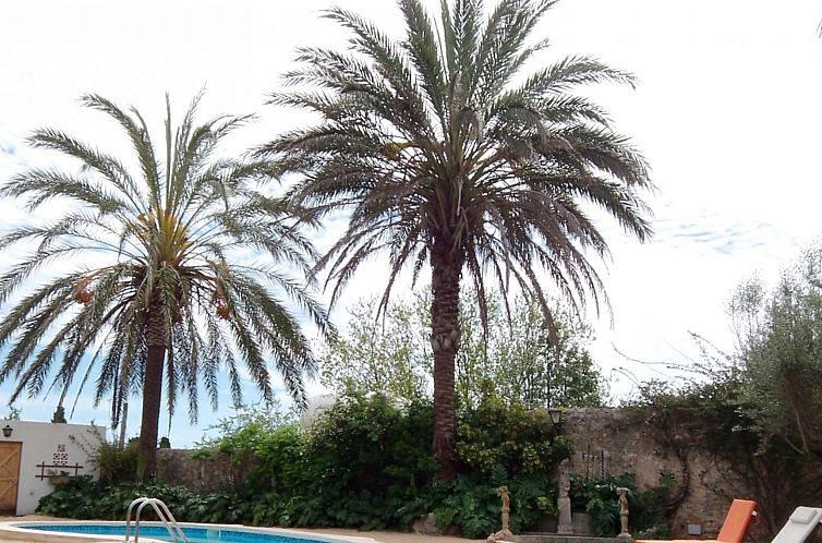 Appartement Can Mavi 02