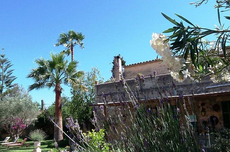 Appartement Can Mavi 02