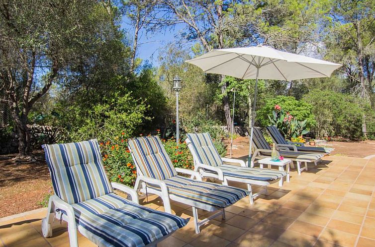 Guest house 1601214 - Holiday property Mallorca - Vakantiehuis Majoral