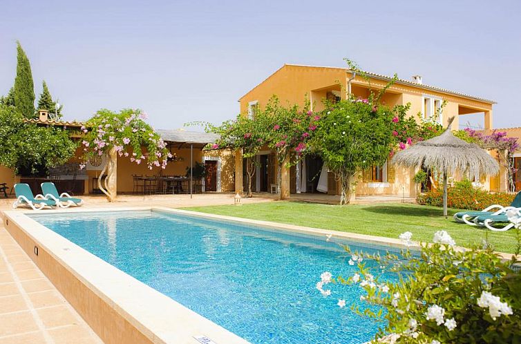 Enjoy the pool and green surroundings at Villa Santanyi, a beautiful vacation home in Cala d'Or, in sunny Mallorca.