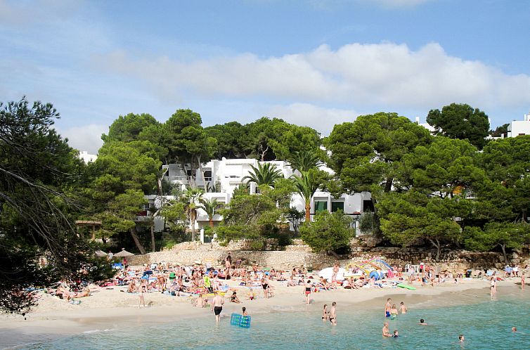 Appartement Playa d'Or