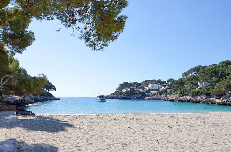 Appartement Ferienwohnung