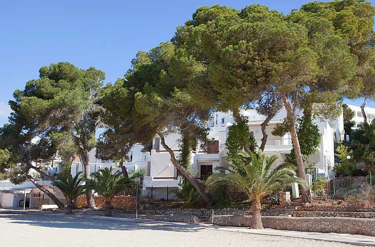 Appartement Ferienwohnung