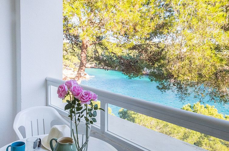 Guest house 16012439 - Apartment Mallorca - Appartement Ferrera Park 306