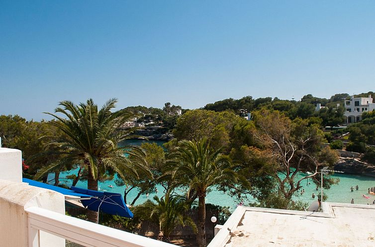 Unterkunft 16012446 - Appartement Mallorca - Appartement Playa Dor 17