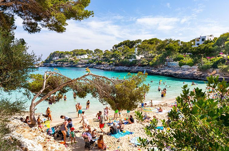 Appartement Playa Dor 18