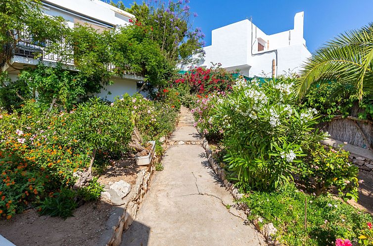 Appartement Playa Dor 18