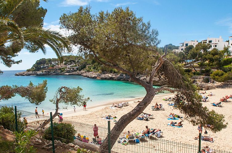 Appartement Playa Dor 18