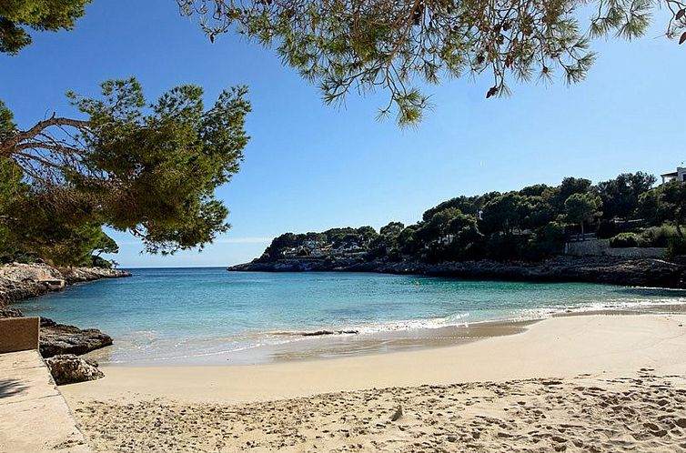 Appartement Playa Dor 5