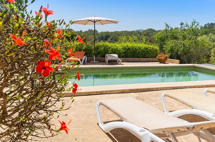 Vakantiehuis Palleta