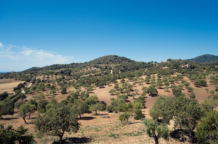 Vakantiehuis Turo Golf
